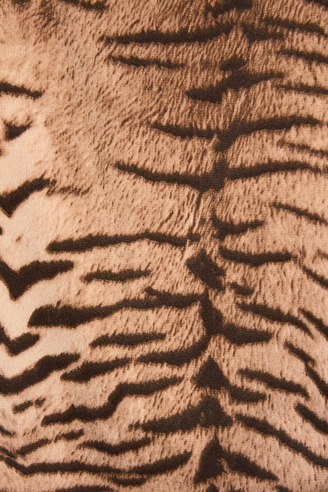 Taupe Tiger Boat Neck Long Sleeve Top