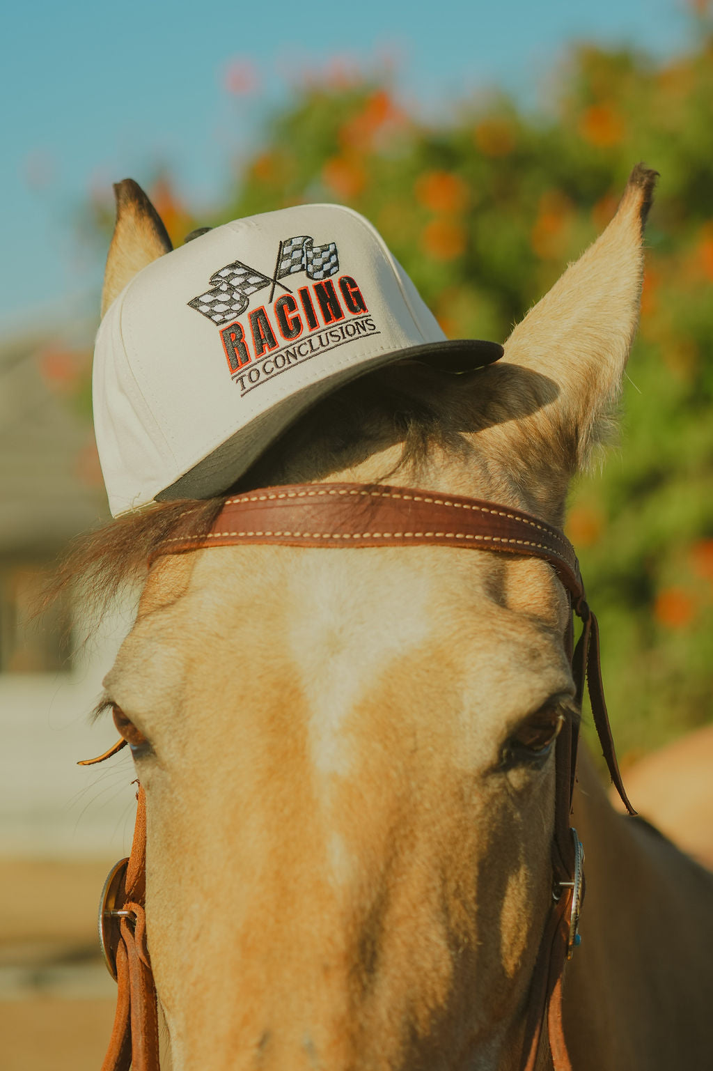 Racing To Conclusions Hat
