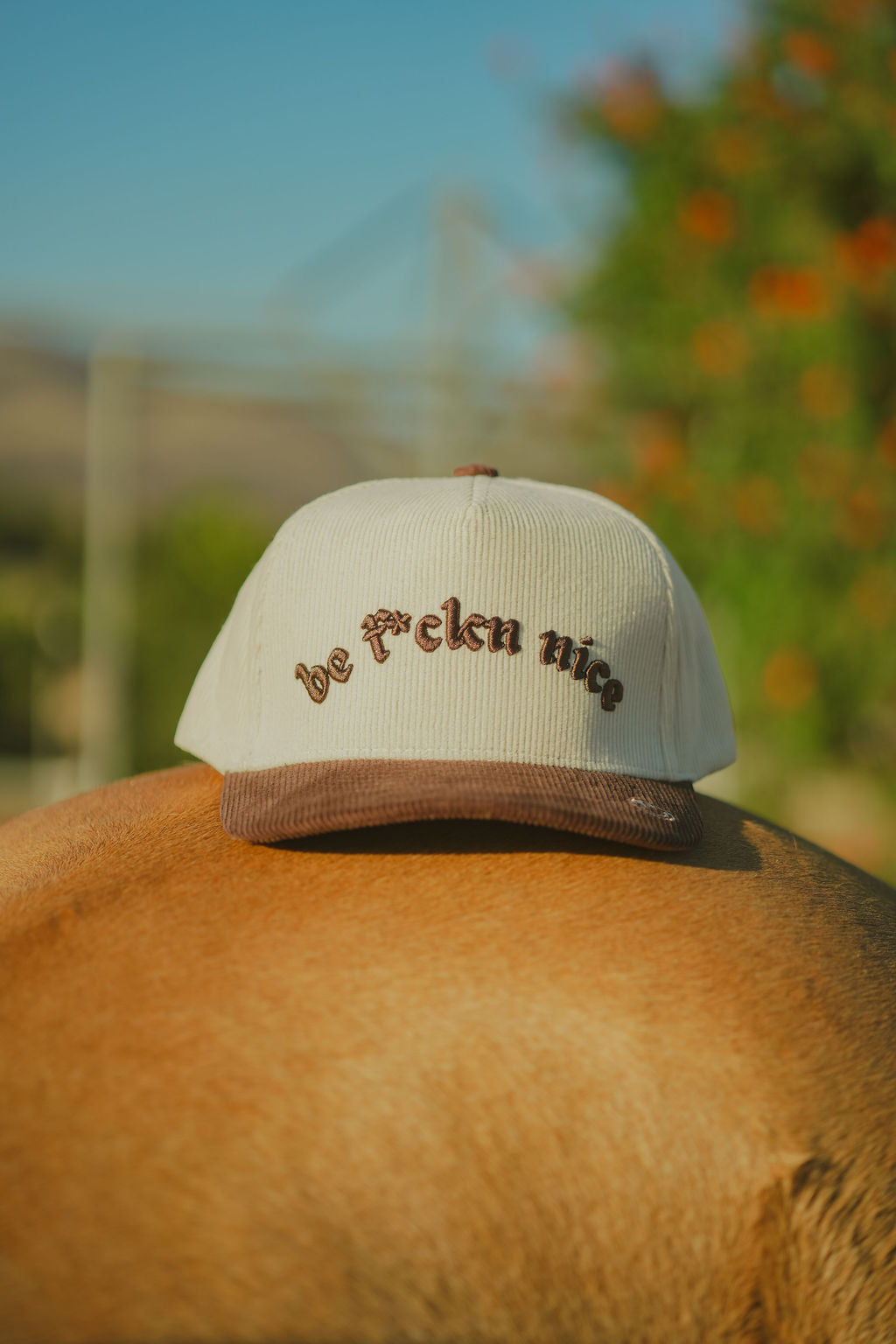 Friendly Reminder Hat
